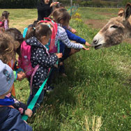 la terra dei bambini